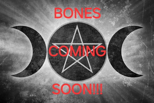 Animal Bones Coming Soon!